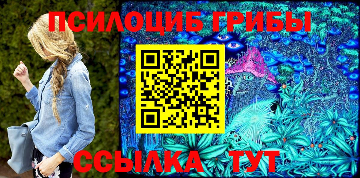 Псилоцибиновые грибы Psilocybine cubensis  Вход с VPN  Лосино-Петровский 