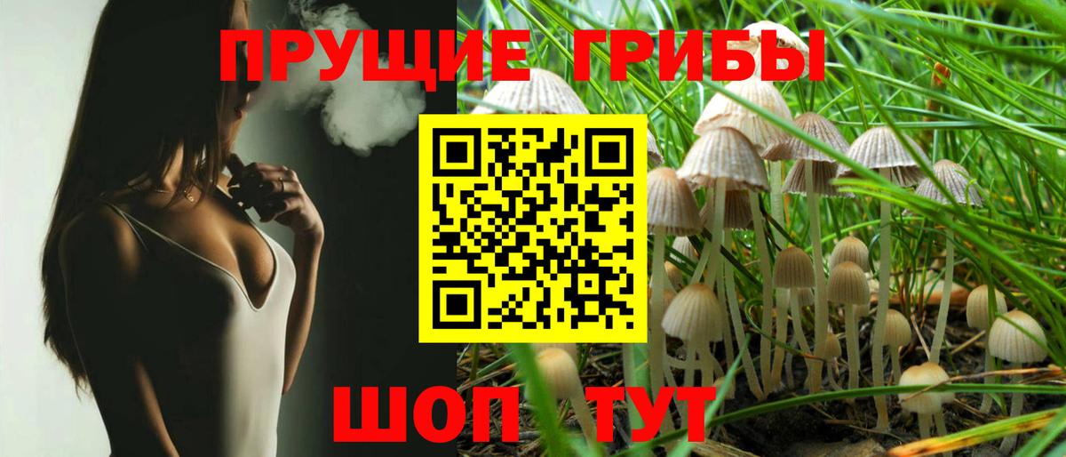Псилоцибиновые грибы Cubensis Лосино-Петровский