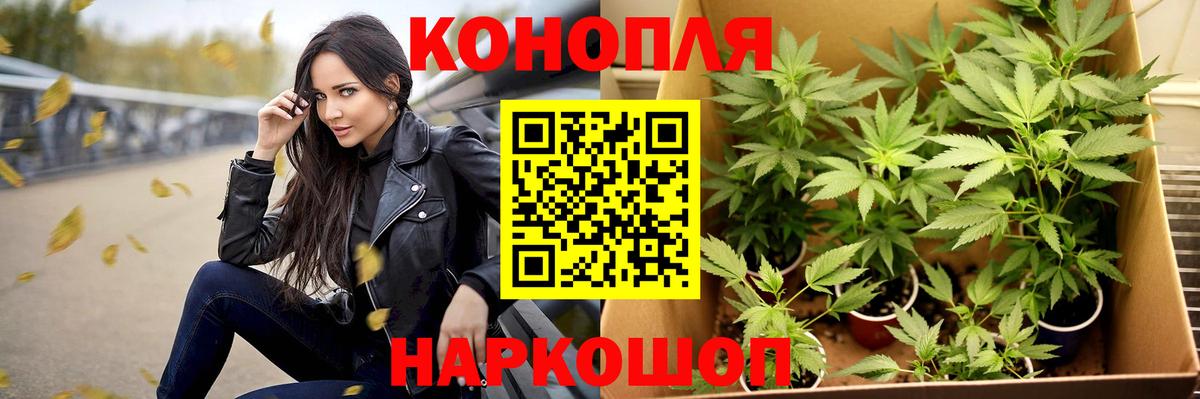 Бошки марихуана White Widow  Вход с VPN  Лосино-Петровский  Бошки марихуана Bruce Banner 